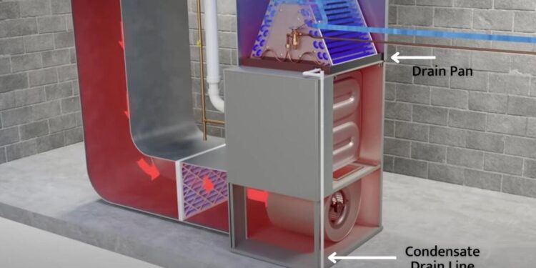 How Neglecting Your HVAC Condensate Drain Line Causes Expensive Repairs