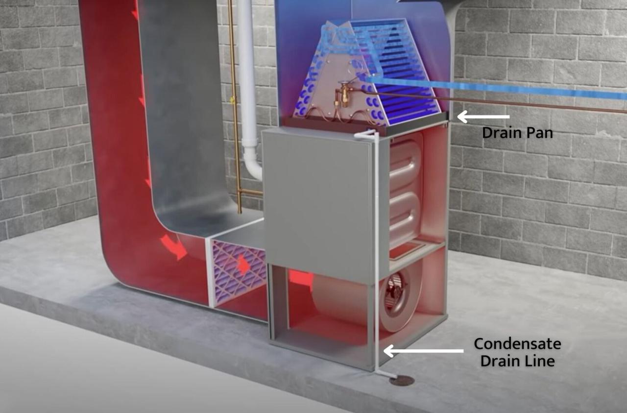 How Neglecting Your HVAC Condensate Drain Line Causes Expensive Repairs How Neglecting Your HVAC Condensate Drain Line Causes Expensive Repairs