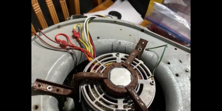 Air Handler Blower Motor Bearings at Valeria Sturm blog